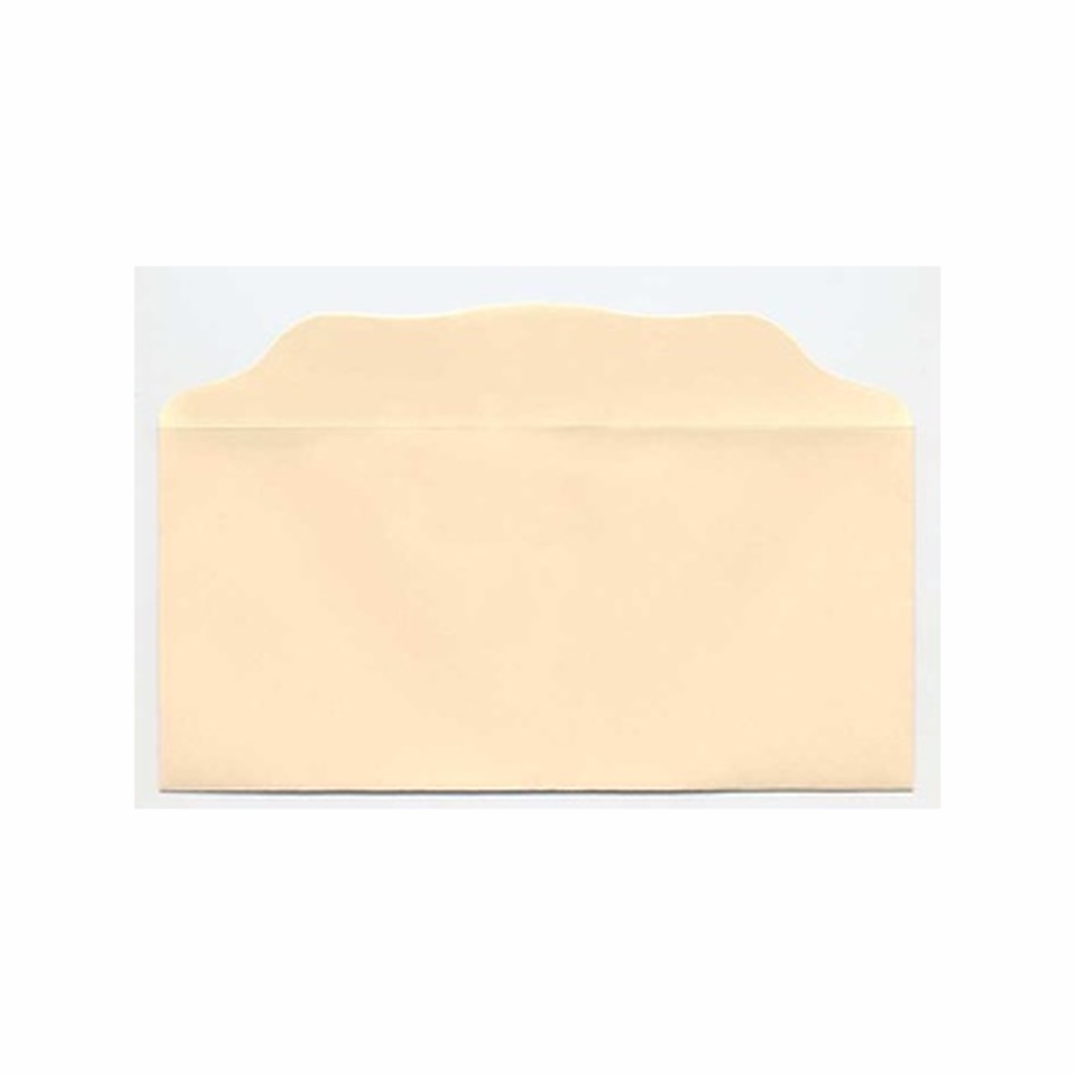 Bill-Size Blank Church Offering Envelope - Cream - Pack of 100