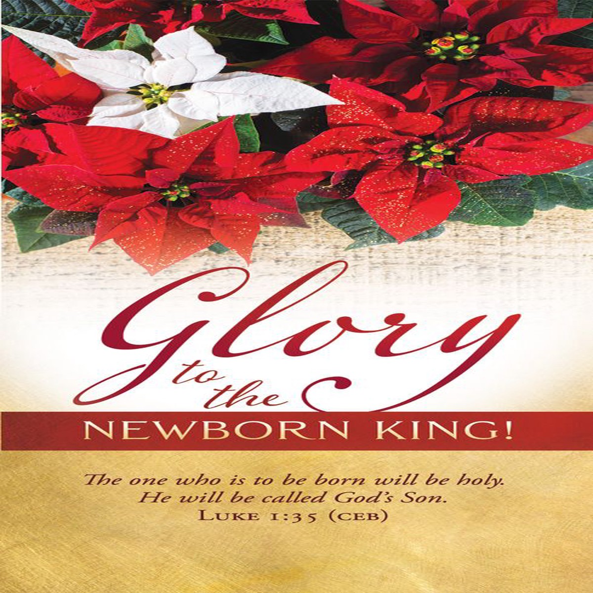 Christmas Glory to the Newborn King Luke 1:35 (CEB) - Pkg 100 Offering Envelopes