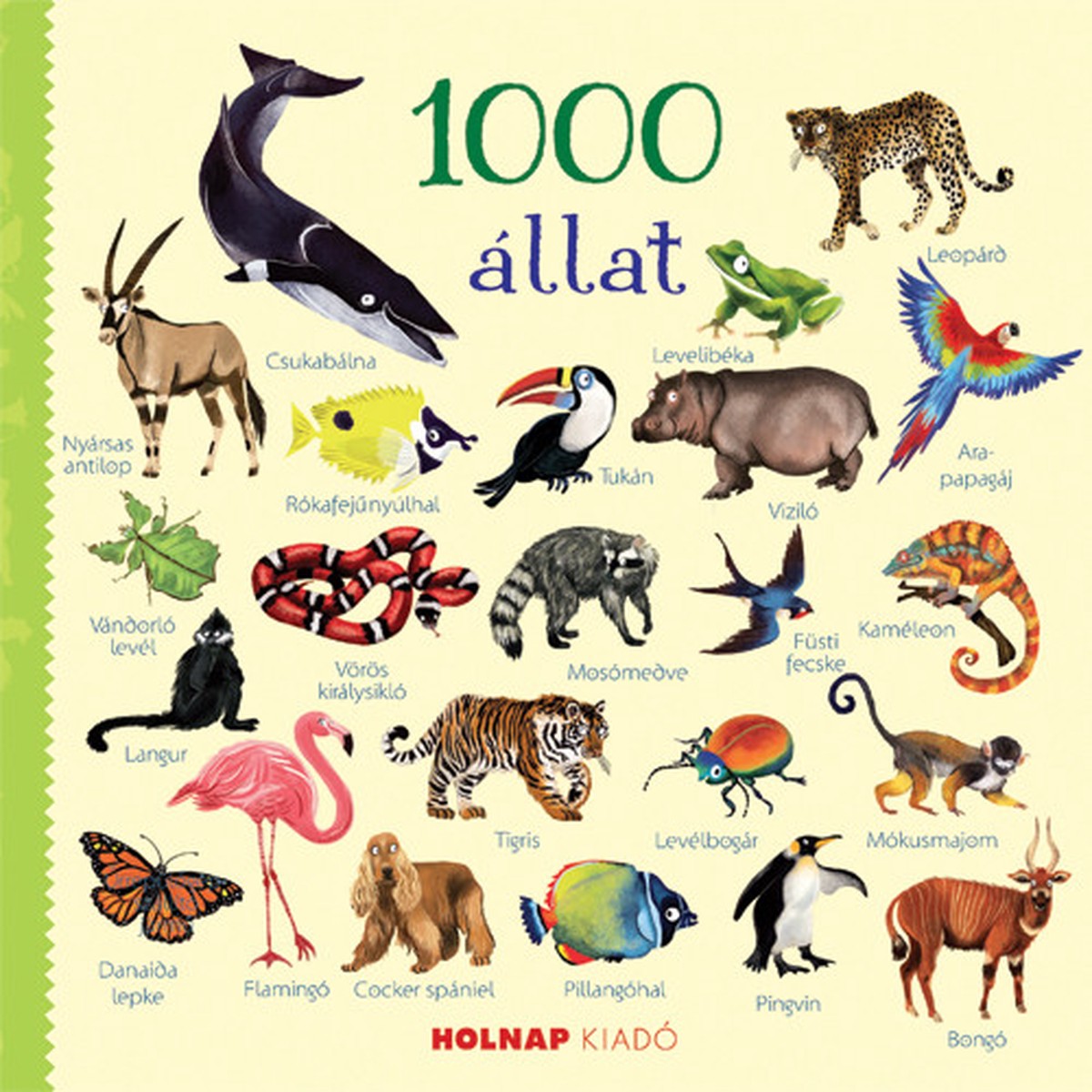 1000 llat / Jessica Greenwell / Illusztrci: NIKKI DYSON RAJZAIVA / Holnap Kiad / 2016